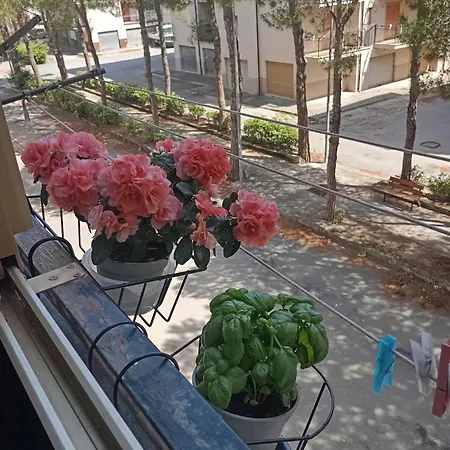 Apartment Parco Soeve
